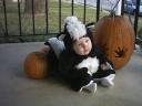 ace-skunk-1-halloween-2007.jpg