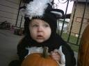 ace-skunk-3-halloween-2007.jpg