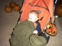 ace-zonked-out-after-halloween-2007.jpg