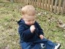Ace Eating A Stick!