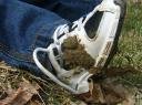 Poop On The Shoe