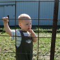 Ace In The Pig Pen Ace In The Pig Pen