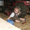 Ace Playing In The Barn Ace Playing In The Barn