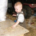 Ace Playing In The Barn #2 Ace Playing In The Barn #2