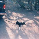 Buddy Camping In New Mexico Buddy Camping In New Mexico