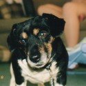 We Miss You Buddy! We Miss You Buddy!