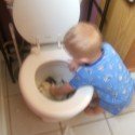 Ace Playing In The Toilet Ace Playing In The Toilet