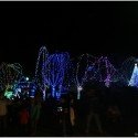 More Tree Lights More Tree Lights