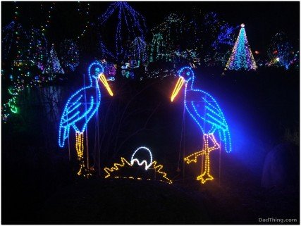 Pelican Lights