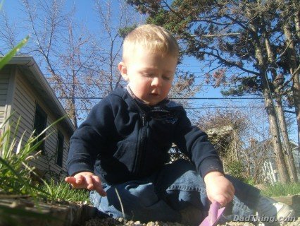 digging-away