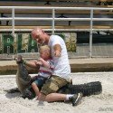 Ace Wrestling an Alligator Ace Wrestling an Alligator