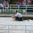 Gator Wrestling Gator Wrestling
