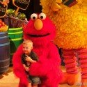 Picture Time With Elmo and Big Bird Picture Time With Elmo and Big Bird