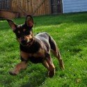 Ruby