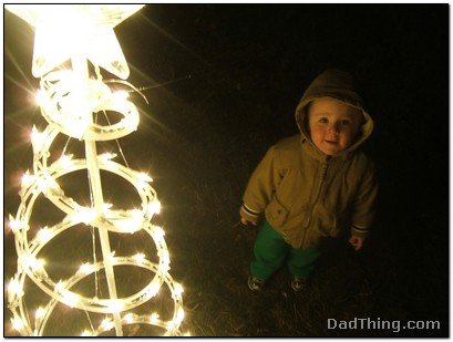 ace-enjoying-the-christmas-lights Ace Enjoying The Christmas Lights
